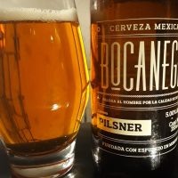 Bocanegra Pilsner 5%