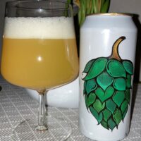 Fermenterarna IPA 6,7%