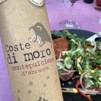 Coste di moro Montepulciano d`Abruzzo (2018) 14%